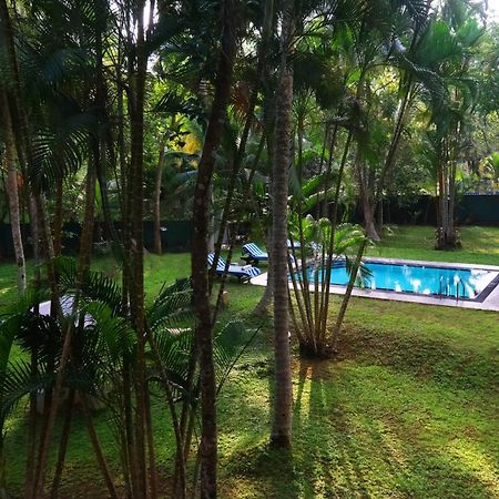 Chandra Villa Ayurveda Resort Bentota Eksteriør billede